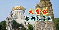 大鸡巴操狗逼网站中国浙江-绍兴大香林旅游风景区
